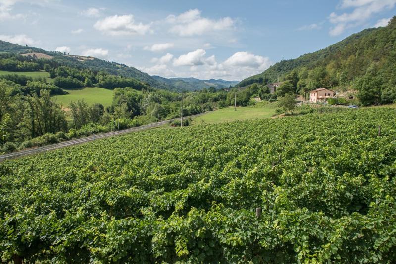 Agriturismo Pedrosola Брізіґелла Екстер'єр фото